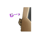 ポメラニアンのきなこ☆（個別スタンプ：4）