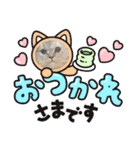 可愛い猫の実写スタンプ（個別スタンプ：5）