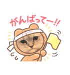 可愛い猫の実写スタンプ（個別スタンプ：14）