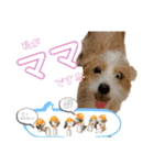 はじめましてパンファミリー（個別スタンプ：11）