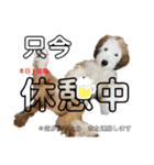 はじめましてパンファミリー（個別スタンプ：12）