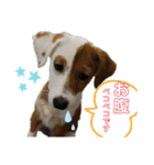 はじめましてパンファミリー（個別スタンプ：13）
