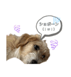 はじめましてパンファミリー（個別スタンプ：17）