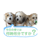 はじめましてパンファミリー（個別スタンプ：21）