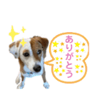 はじめましてパンファミリー（個別スタンプ：30）