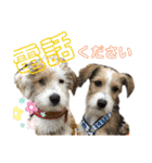 はじめましてパンファミリー（個別スタンプ：36）
