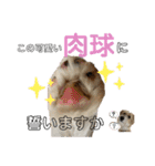 はじめましてパンファミリー（個別スタンプ：39）