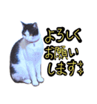 ともだちいっぱい！②（個別スタンプ：10）