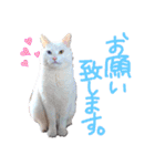 ともだちいっぱい！②（個別スタンプ：12）