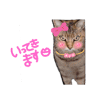 ともだちいっぱい！②（個別スタンプ：33）