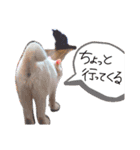 ともだちいっぱい！②（個別スタンプ：36）