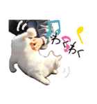 ともだちいっぱい！②（個別スタンプ：40）