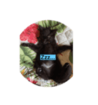 黒猫かぼす（個別スタンプ：4）