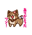 柴犬小豆 ver.2（個別スタンプ：3）