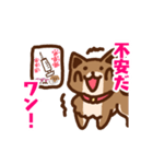 柴犬小豆 ver.2（個別スタンプ：5）