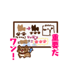 柴犬小豆 ver.2（個別スタンプ：8）