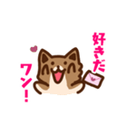 柴犬小豆 ver.2（個別スタンプ：12）