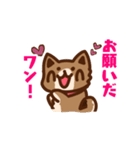 柴犬小豆 ver.2（個別スタンプ：13）