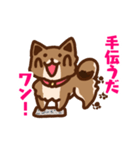 柴犬小豆 ver.2（個別スタンプ：15）