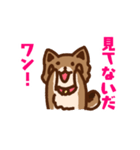 柴犬小豆 ver.2（個別スタンプ：17）