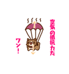 柴犬小豆 ver.2（個別スタンプ：20）