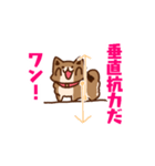 柴犬小豆 ver.2（個別スタンプ：21）