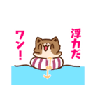 柴犬小豆 ver.2（個別スタンプ：22）