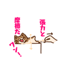 柴犬小豆 ver.2（個別スタンプ：24）