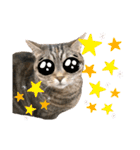 スーパー短足猫マンチカンみみたそスタンプ（個別スタンプ：15）