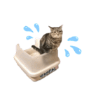 スーパー短足猫マンチカンみみたそスタンプ（個別スタンプ：19）