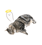 スーパー短足猫マンチカンみみたそスタンプ（個別スタンプ：26）