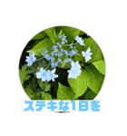 hanaphoto（個別スタンプ：18）