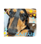 うちのなみさん！ パート2（個別スタンプ：3）