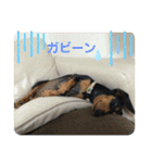 うちのなみさん！ パート2（個別スタンプ：17）