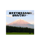 ふぉとふぉと（個別スタンプ：1）