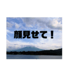 ふぉとふぉと（個別スタンプ：2）