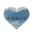 ふぉとふぉと（個別スタンプ：5）