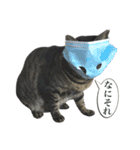 俺たちのミミちゃん（個別スタンプ：6）