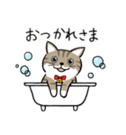 ねこのルビちゃん（個別スタンプ：3）