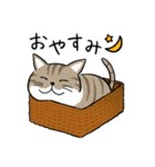 ねこのルビちゃん（個別スタンプ：5）