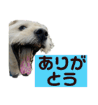 あいづち上手！ペキチワぶんた5（修正版）（個別スタンプ：1）