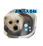 あいづち上手！ペキチワぶんた5（修正版）（個別スタンプ：6）