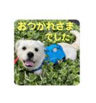 あいづち上手！ペキチワぶんた5（修正版）（個別スタンプ：7）