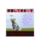 あいづち上手！ペキチワぶんた5（修正版）（個別スタンプ：9）