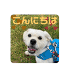 あいづち上手！ペキチワぶんた5（修正版）（個別スタンプ：14）