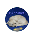 あいづち上手！ペキチワぶんた5（修正版）（個別スタンプ：18）