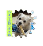 あいづち上手！ペキチワぶんた5（修正版）（個別スタンプ：21）