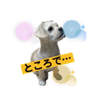 あいづち上手！ペキチワぶんた5（修正版）（個別スタンプ：25）