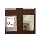 あいづち上手！ペキチワぶんた5（修正版）（個別スタンプ：26）