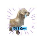 あいづち上手！ペキチワぶんた5（修正版）（個別スタンプ：27）